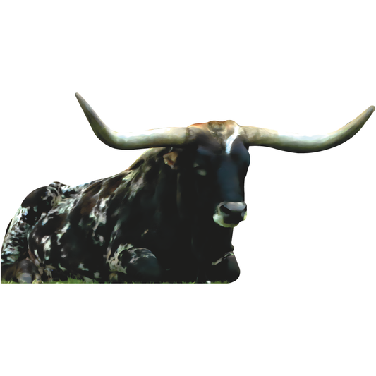 Texas Longhorn Cow Sitting Cattle Steer Beef Cardboard Cutout