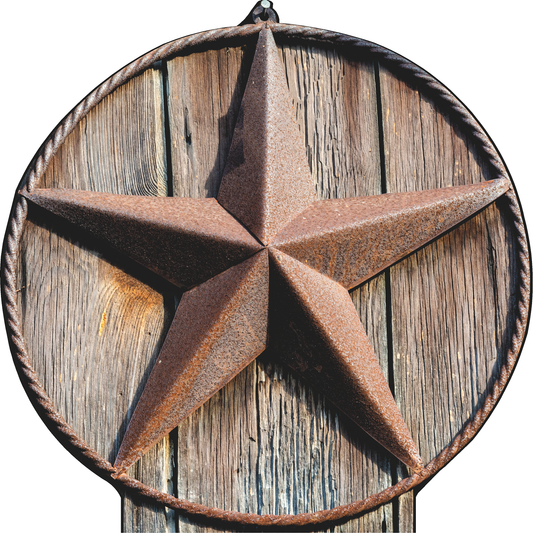 Rusty Texas Lone Star Rustic Wood Cardboard Cutout
