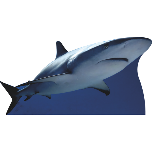 Caribbean Reef Shark Under Water Tiger Beach Bahamas Cardboard Cutout