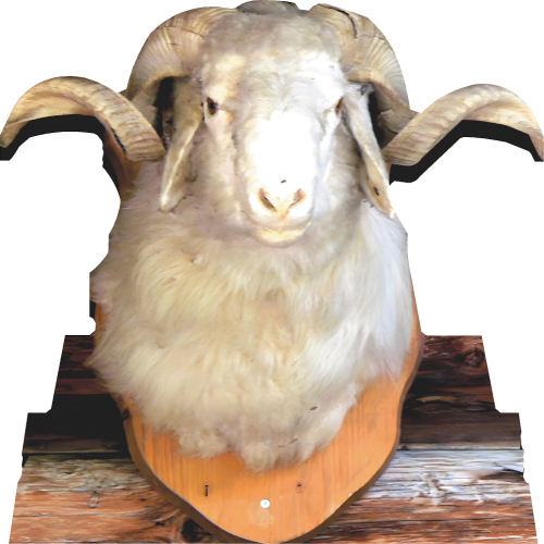 Ram Sheep Mutton Rustic Wood Hunting Trophy Cardboard Cutout