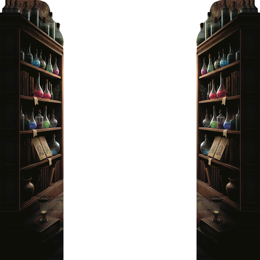 Medieval Fantasy Wizard Shelf 2pack Magic Potions Poisons Alchemy Prop Cardboard Cutout