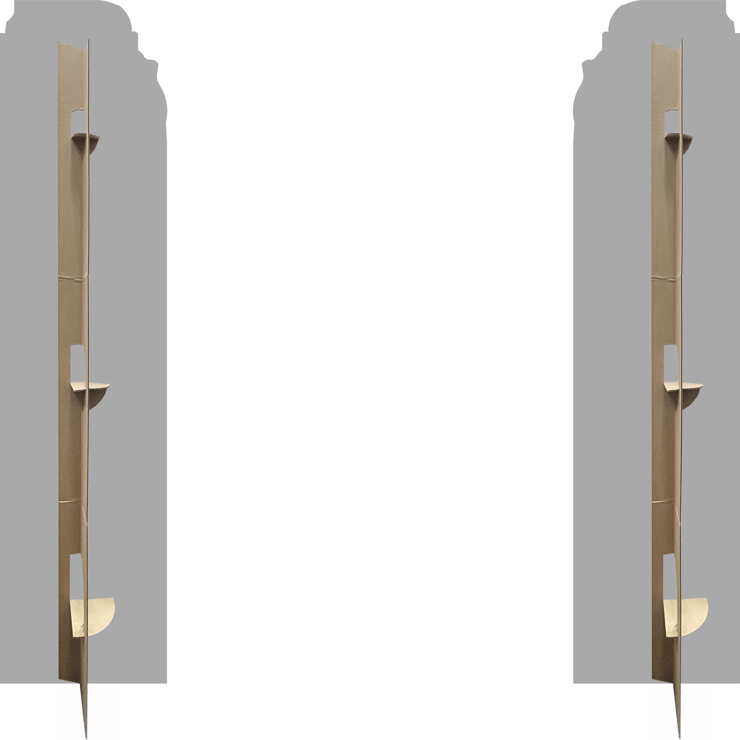 Medieval Fantasy Wizard Shelf 2pack Magic Potions Poisons Alchemy Prop Cardboard Cutout