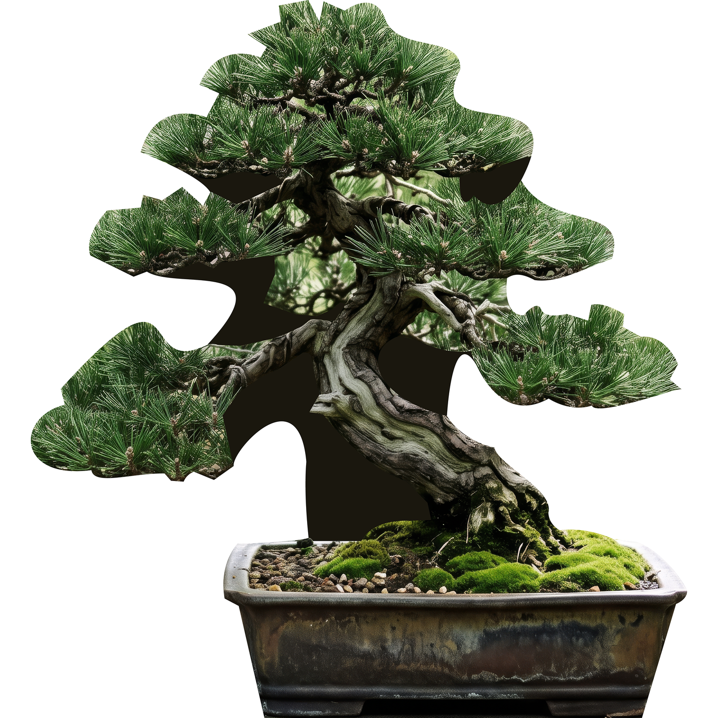 Zen Garden Bonsai Tree 36in Cardboard Cutout Standee Standup