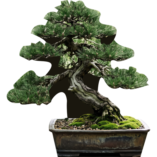 Zen Garden Bonsai Tree 36in Cardboard Cutout Standee Standup