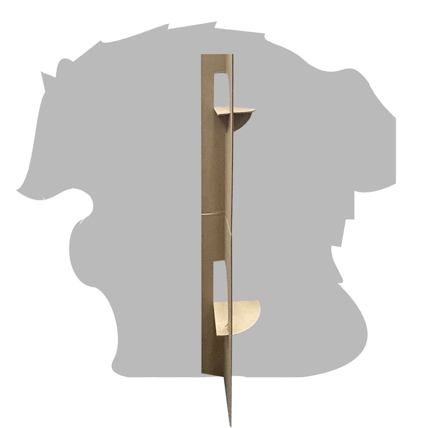 Jimothy the Wild Seattle Racoon Cardboard Cutout