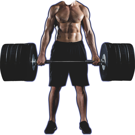 Strong Man Bodybuilding Deadlift Weight Lifting Stand In