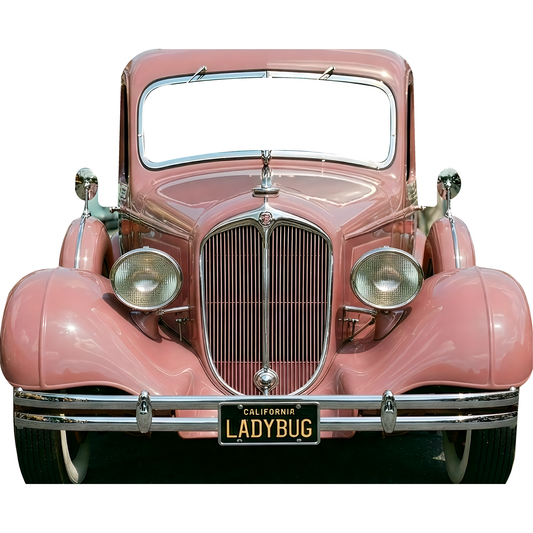 1920s Pretty Pink Car Party Prop Cardboard Cutout