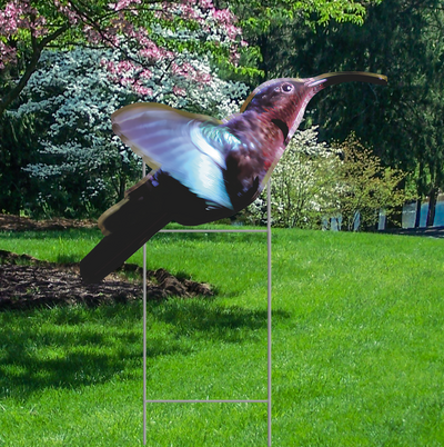 Hummingbird - Yard Sign