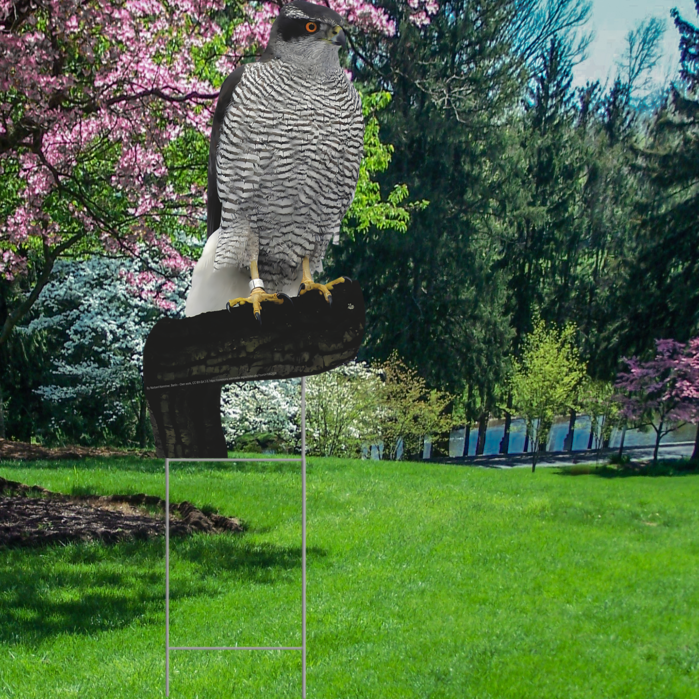 Hawk Waterproof Coroplast Plastic Yard Sign Lawn Sign
