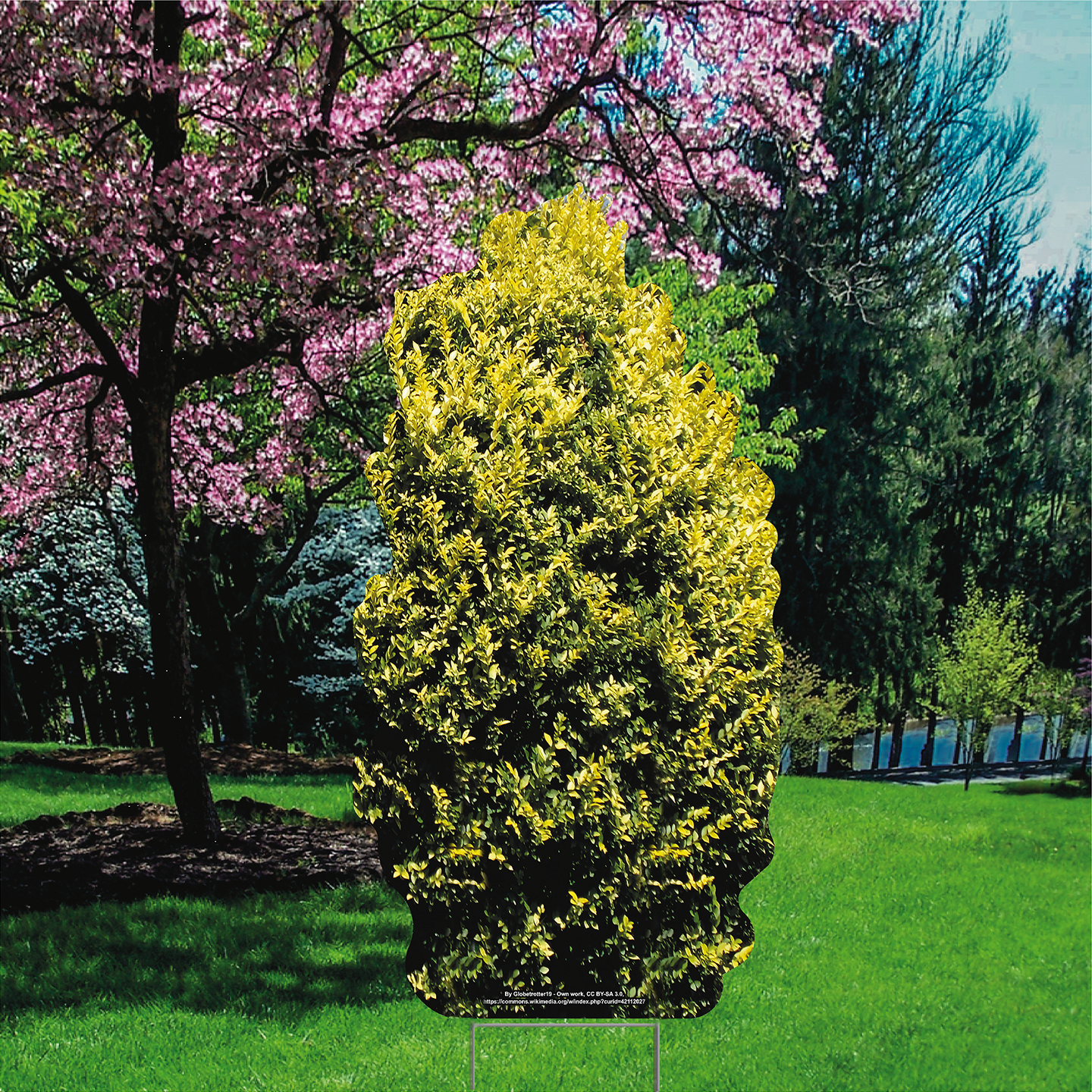 Large Bush Yard Decoration - Yard Sign - Free Shipping – Life Size ...