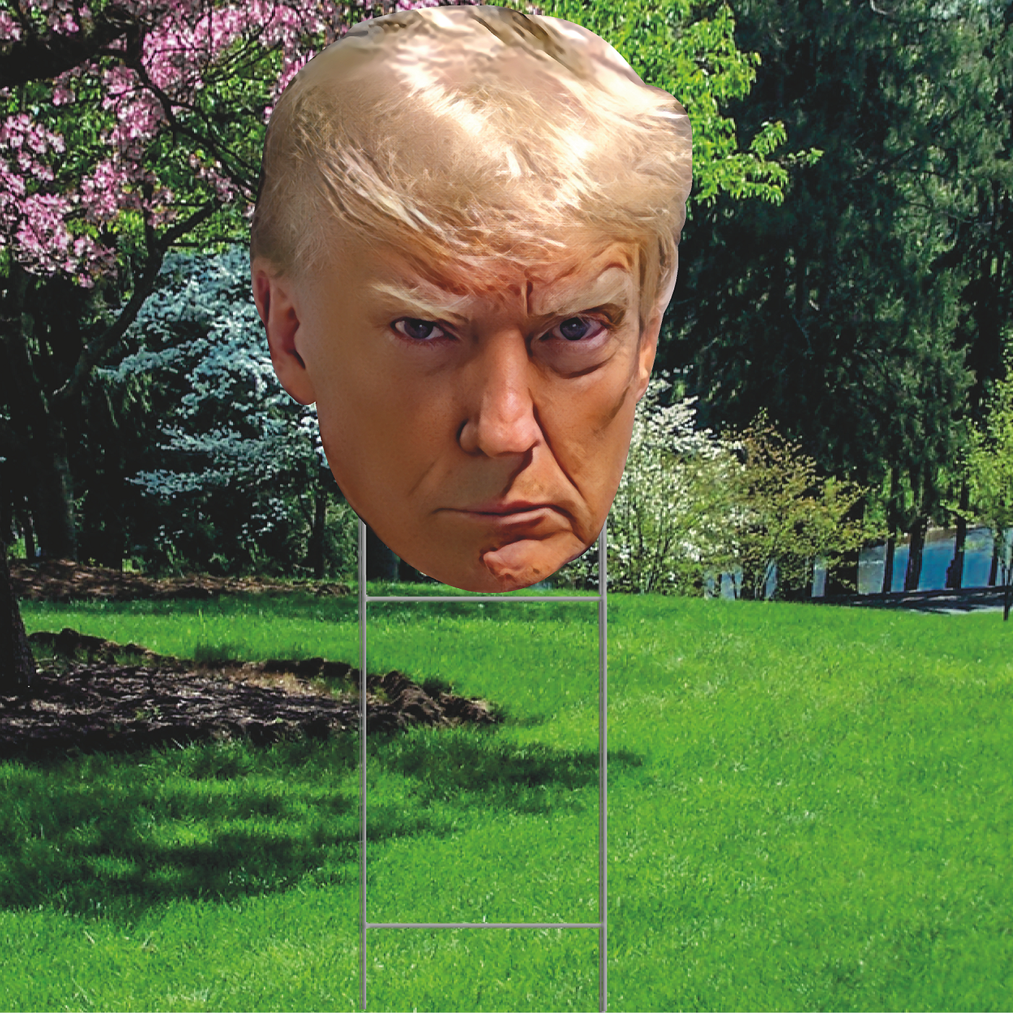 Trump Mugshot Federal Indictment PO113509 Plastic Outdoor Yard Sign Decoration Cutout
