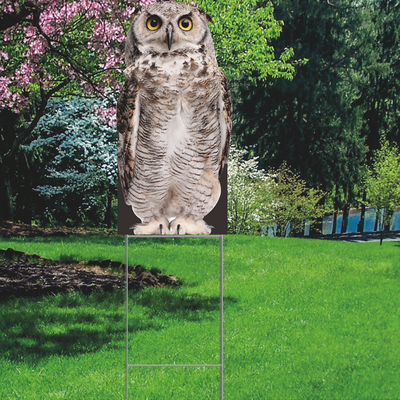 Owl Plastic Outdoor Yard Sign Decoration Cutout