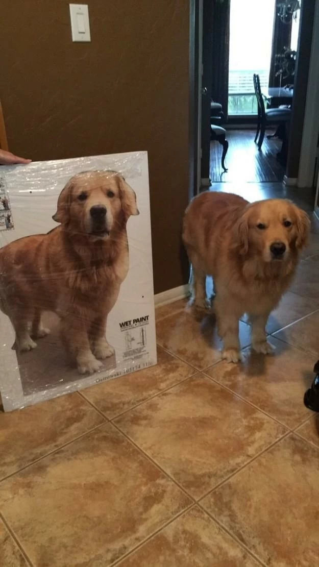 Custom Cardboard Cutouts